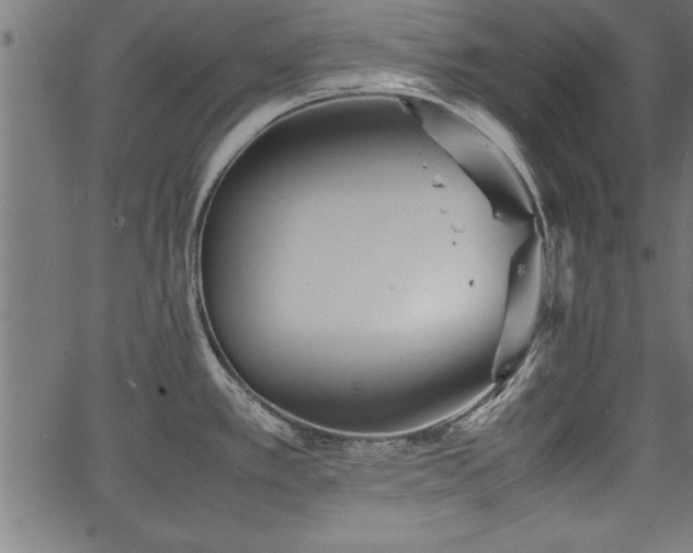 X0000067911389200604131332