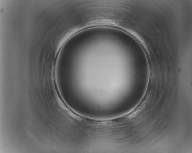 X0000067911390200604131332