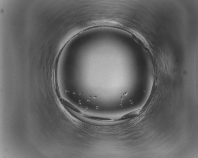 X0000067911391200604131332