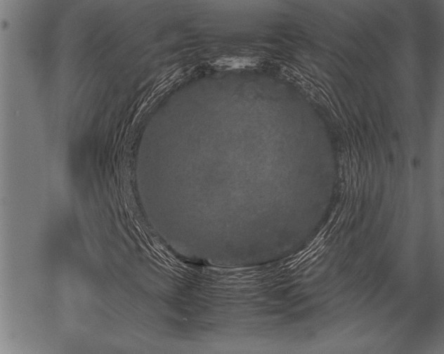 X0000067911393200604131332