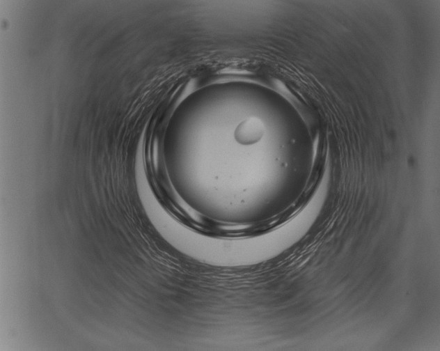 X0000067911394200604131332