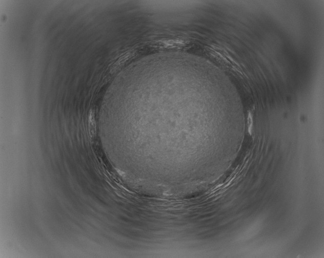 X0000067911395200604131332