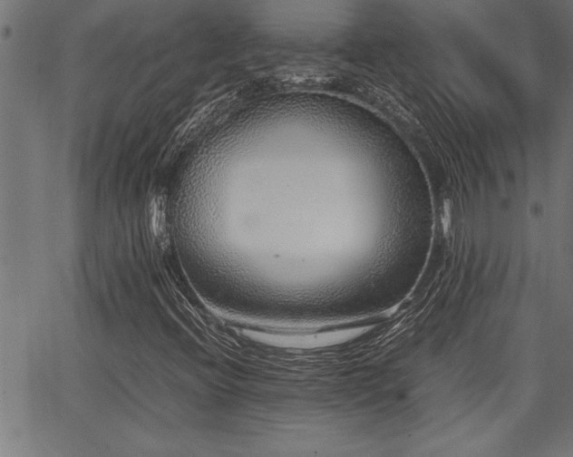 X0000067911396200604131332