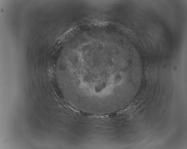 X0000067911397200604131332