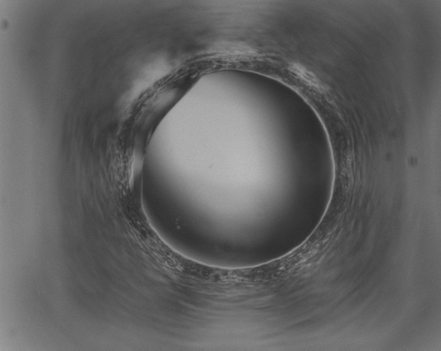 X0000067911398200604131332