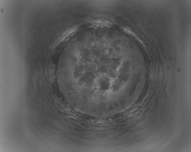 X0000067911399200604131332