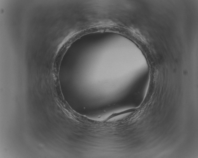 X0000067911400200604131332