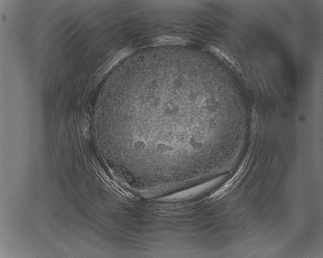 X0000067911401200604131332