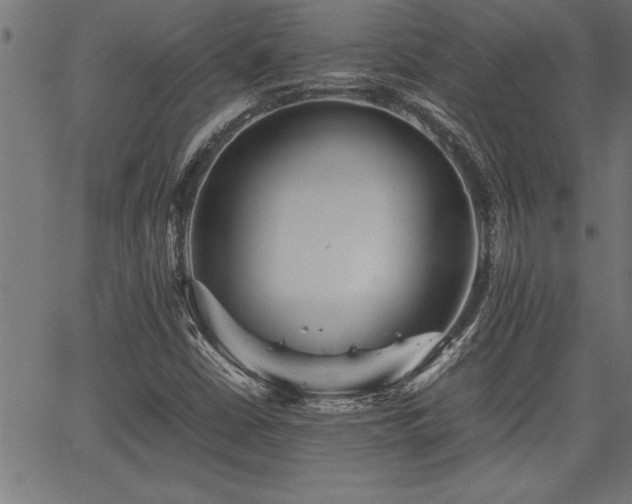 X0000067911402200604131332