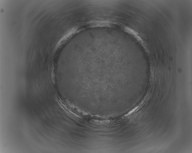 X0000067911403200604131332