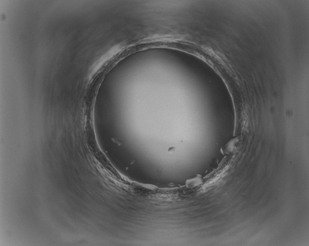 X0000067911406200604131332