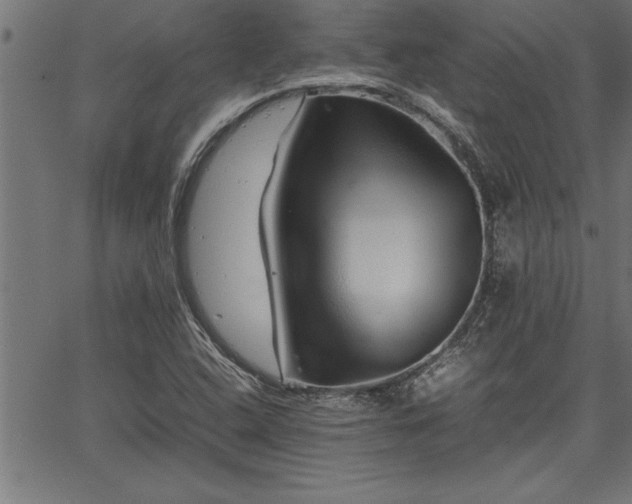 X0000067911408200604131332