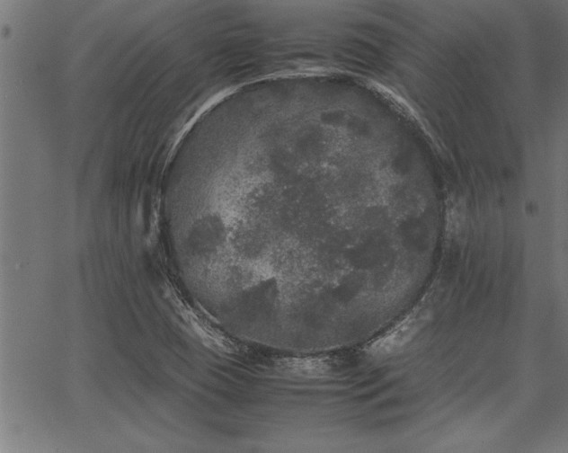 X0000067911409200604131332