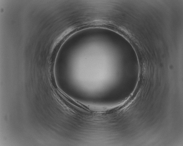 X0000067911410200604131332