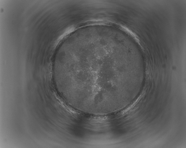 X0000067911411200604131332