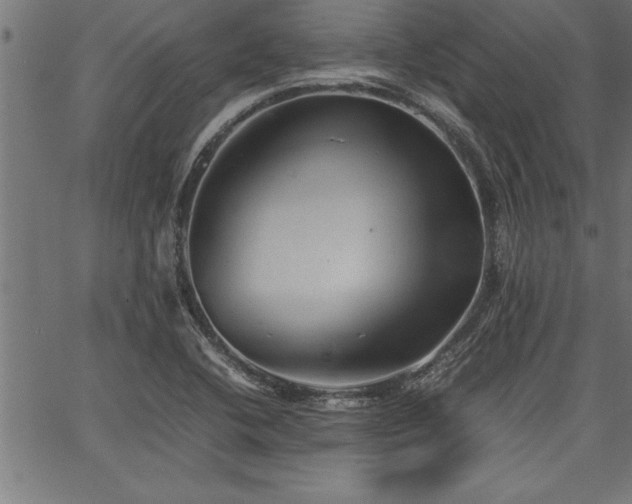 X0000067911412200604131332