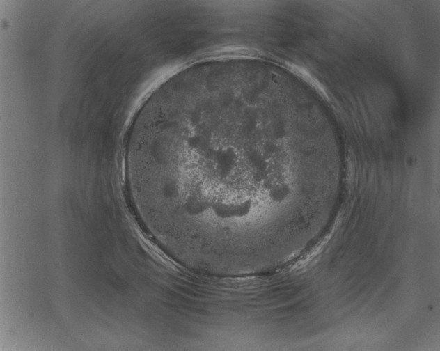 X0000067911413200604131332