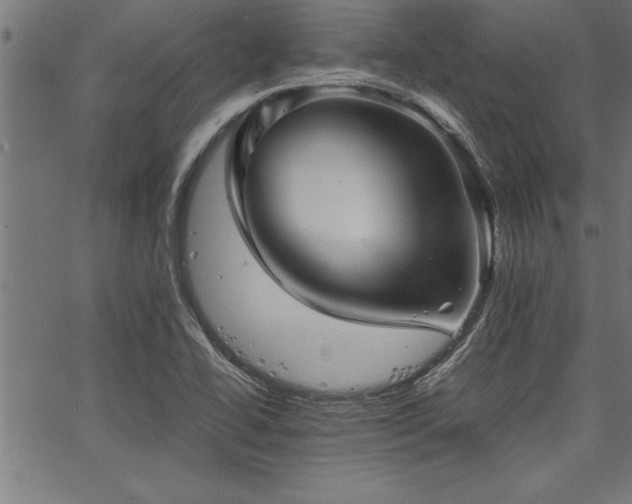 X0000067911414200604131332