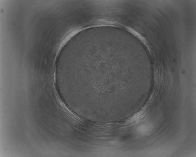 X0000067911415200604131332