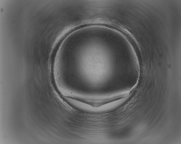 X0000067911416200604131332