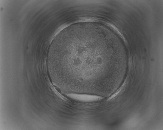 X0000067911417200604131332