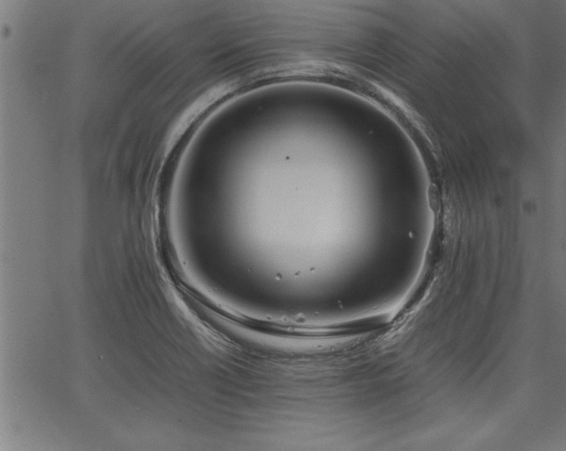 X0000067911418200604131332