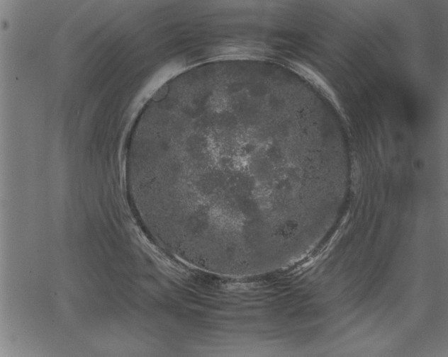 X0000067911419200604131332