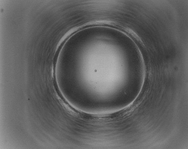 X0000067911420200604131332