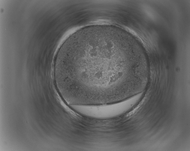 X0000067911421200604131332