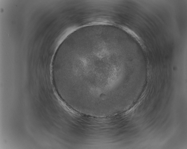 X0000067911423200604131332