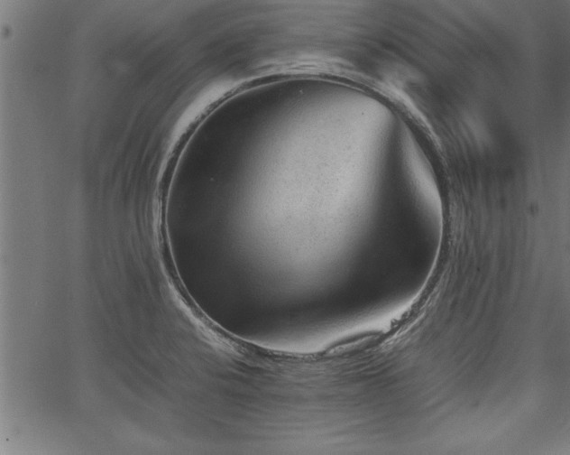 X0000067911424200604131332