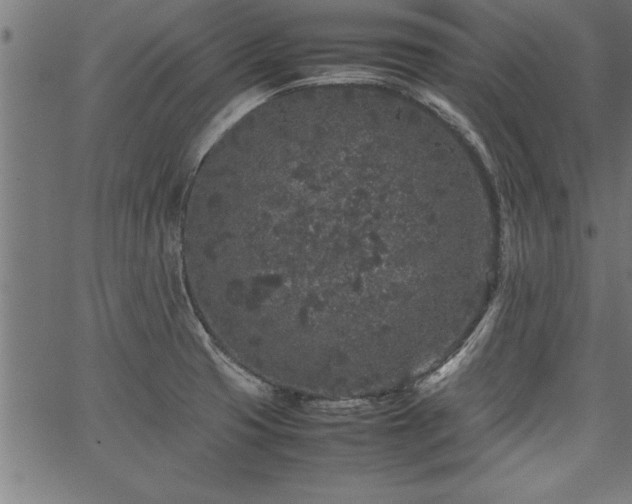 X0000067911425200604131332