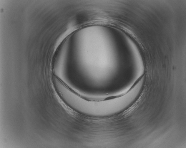 X0000067911426200604131332