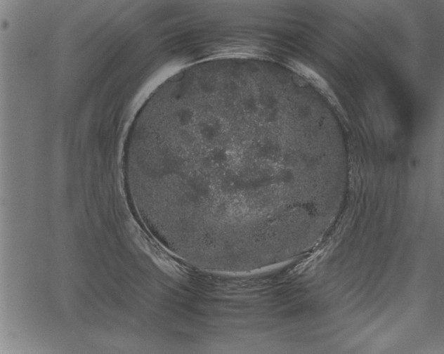 X0000067911427200604131332