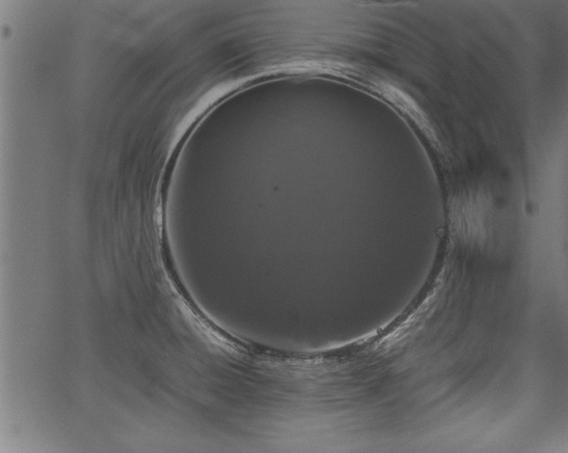 X0000067911428200604131332