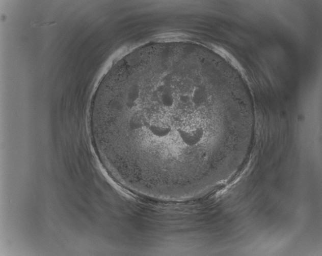 X0000067911429200604131332