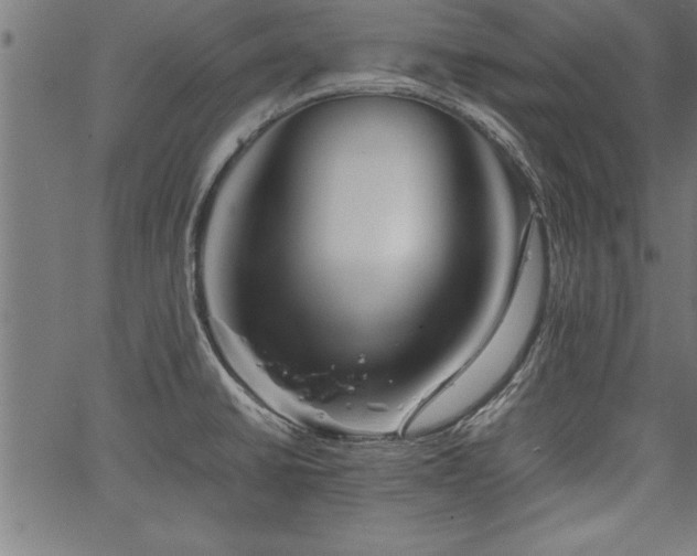 X0000067911430200604131332