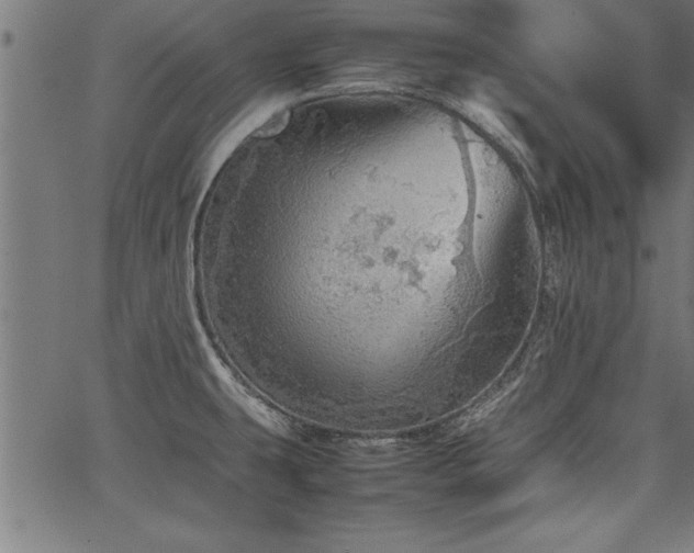 X0000067911431200604131332