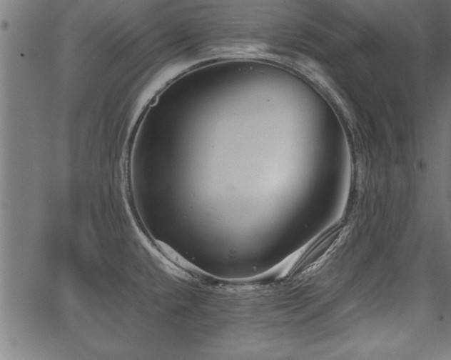 X0000067911432200604131332