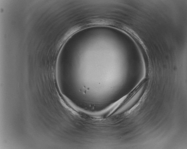 X0000067911433200604131332