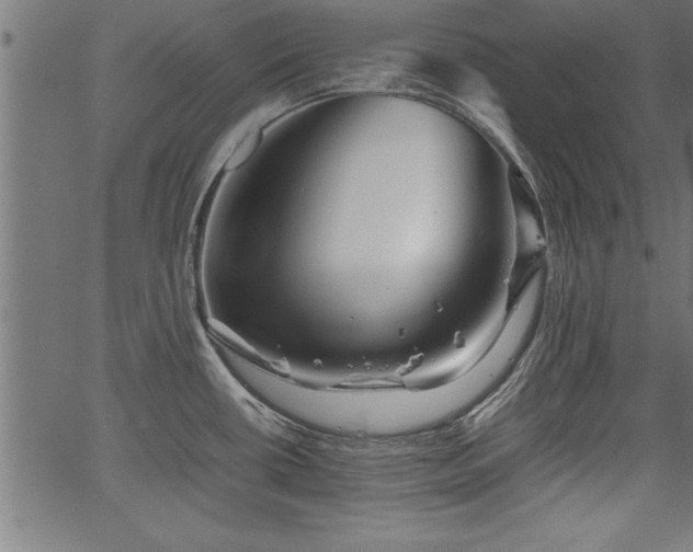 X0000067911434200604131332