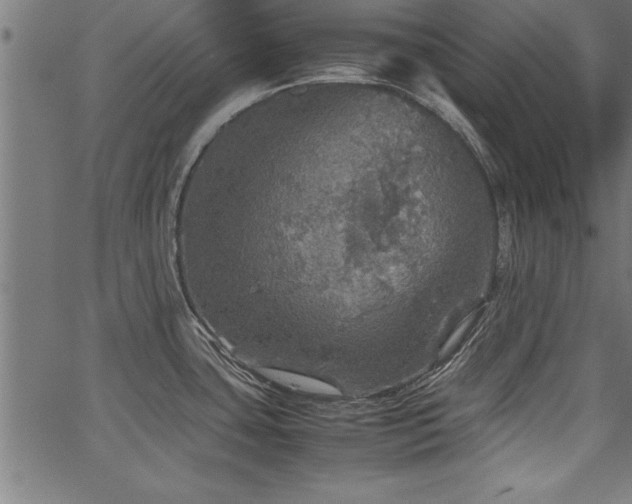 X0000067911435200604131332