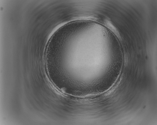 X0000067911436200604131332