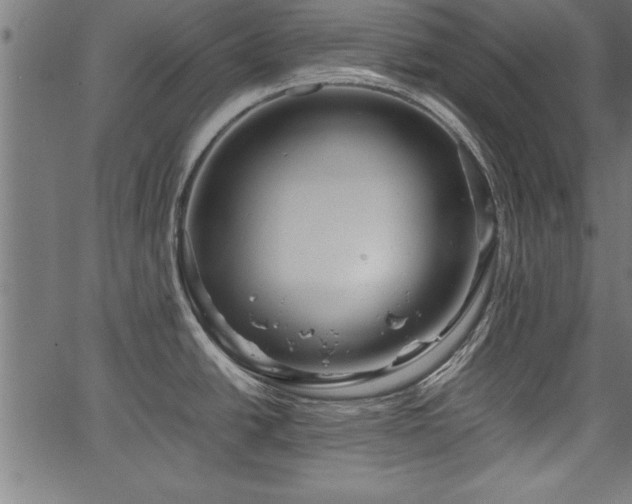 X0000067911438200604131332