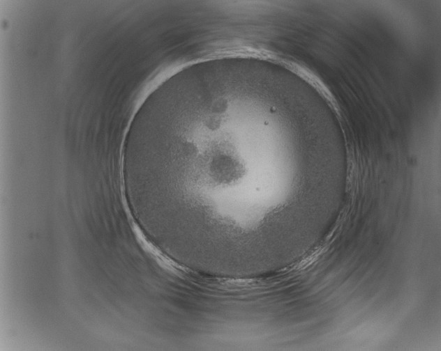 X0000067911439200604131332