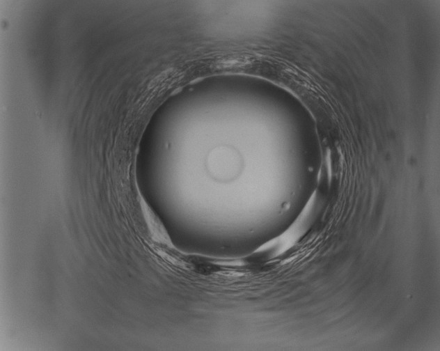 X0000067911441200604131331