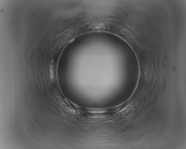 X0000067911442200604131331