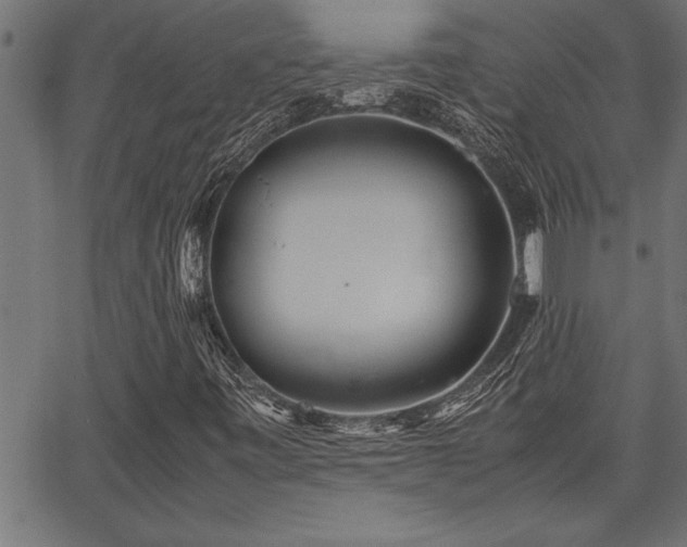 X0000067911443200604131331