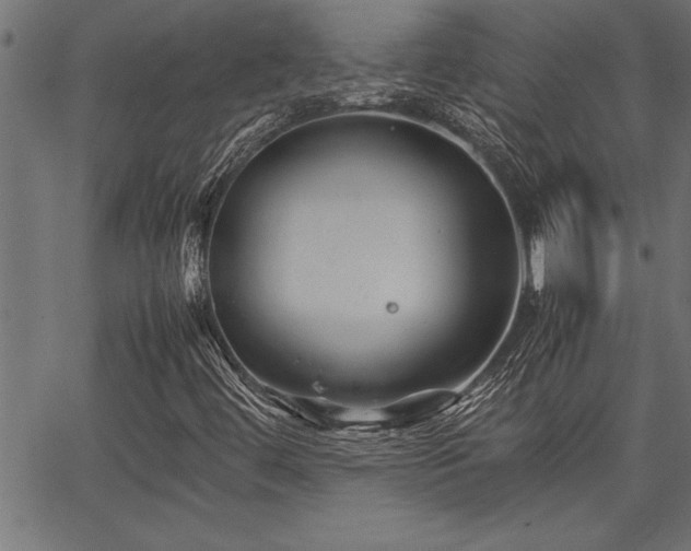 X0000067911444200604131331