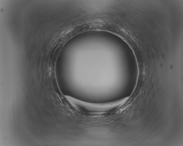 X0000067911445200604131331